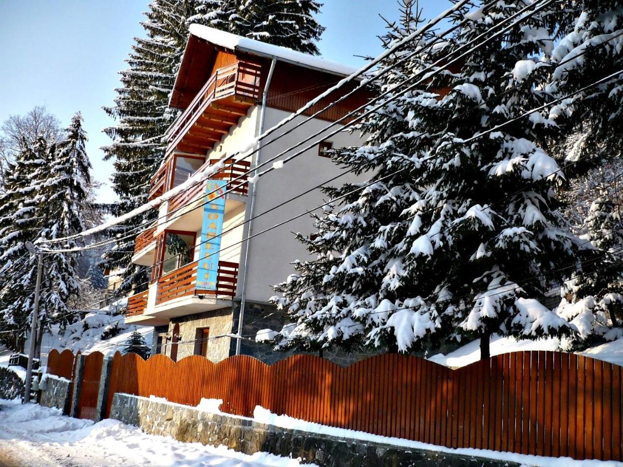 Pension Casa Soarelui Синая Экстерьер фото