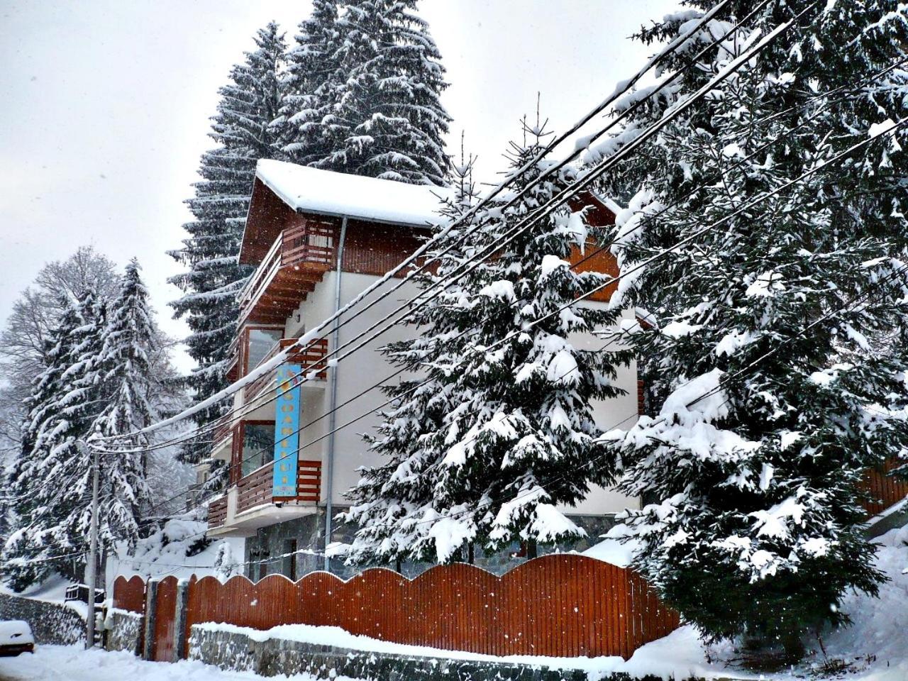 Pension Casa Soarelui Синая Экстерьер фото